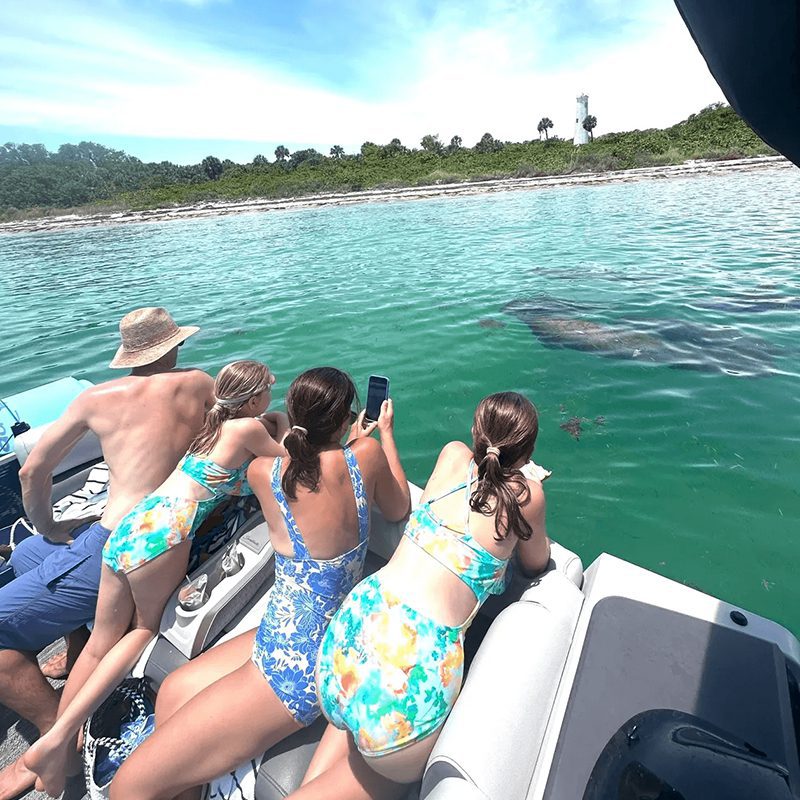 People on boat photographing manatee
