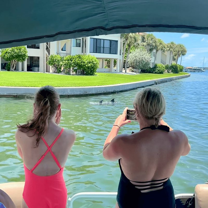 Women photographing dolphins from a boat