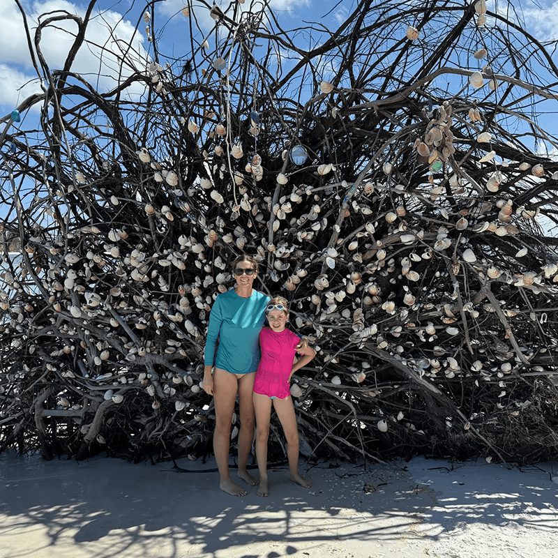 Beachgoers in front of tangled driftwood