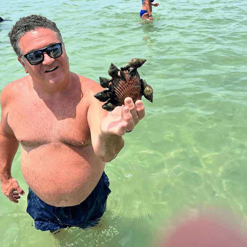 Person displays turtle in clear sea