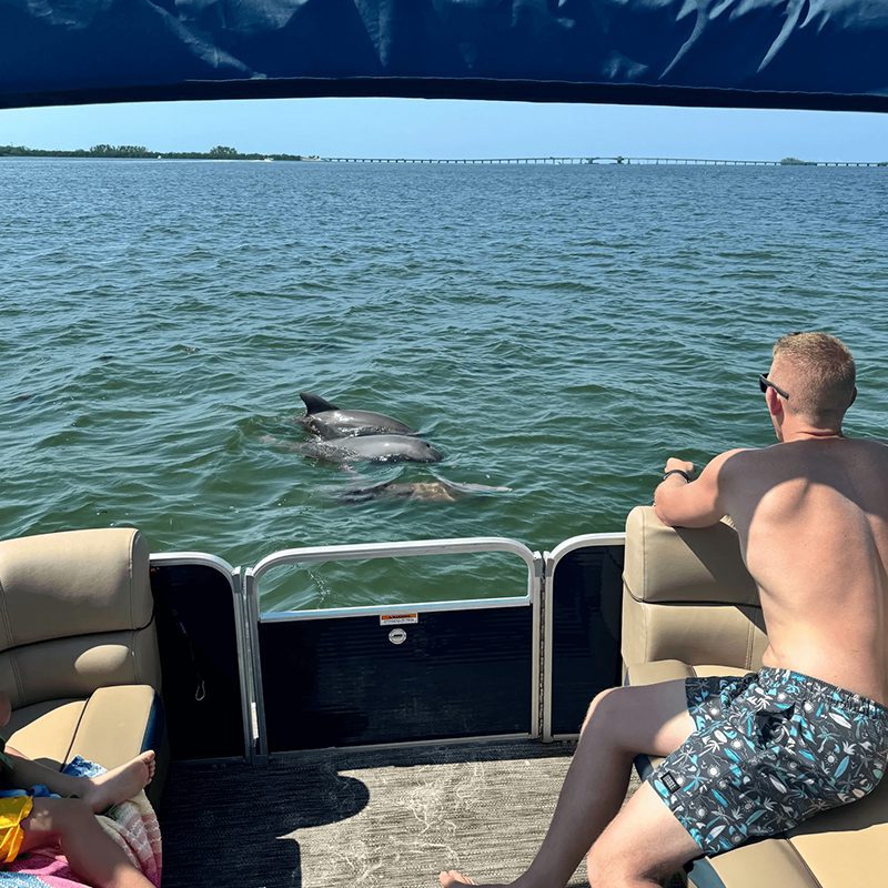 Boaters observing dolphins in the water