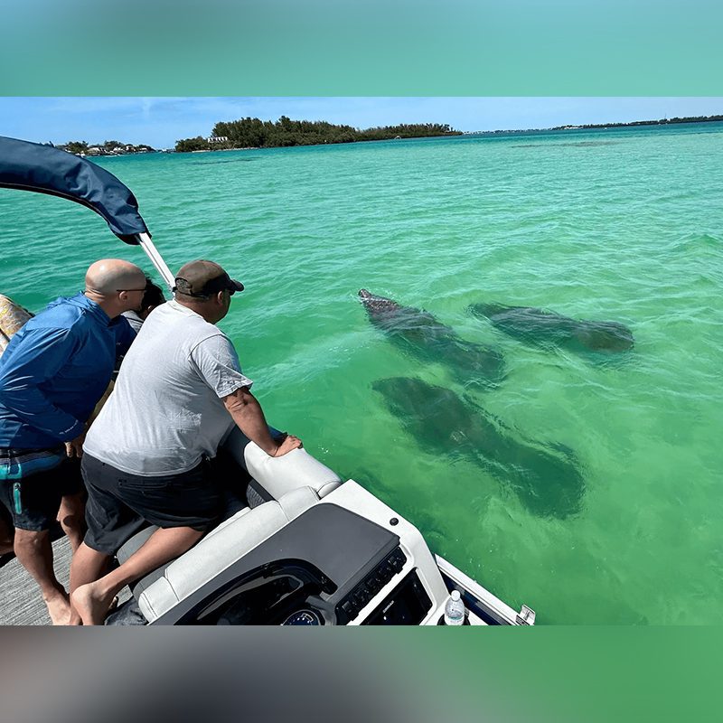 Group on boat near manatees