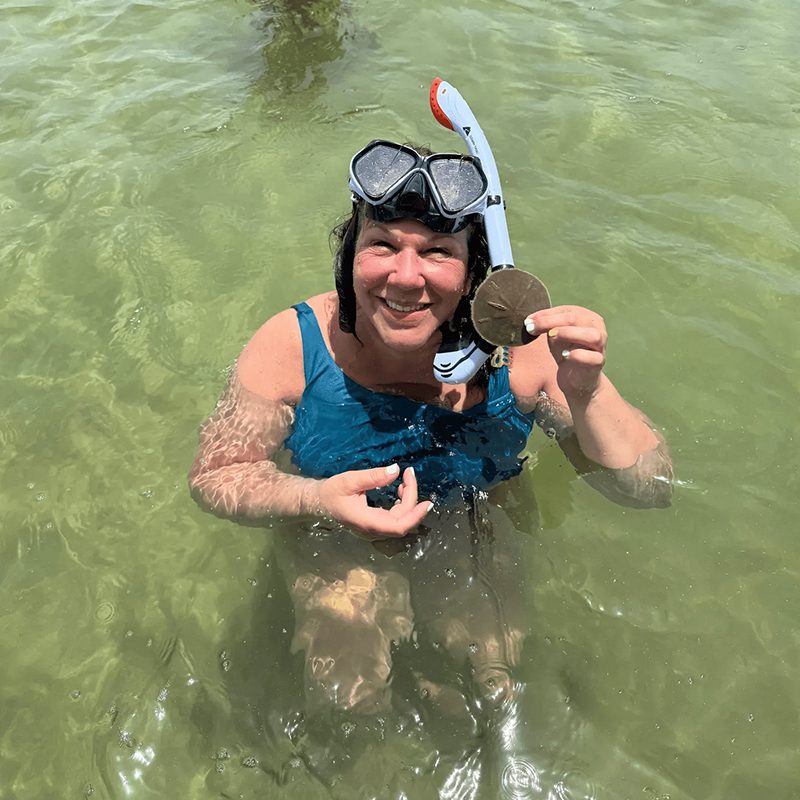 Snorkeler finds sand dollar in the sea