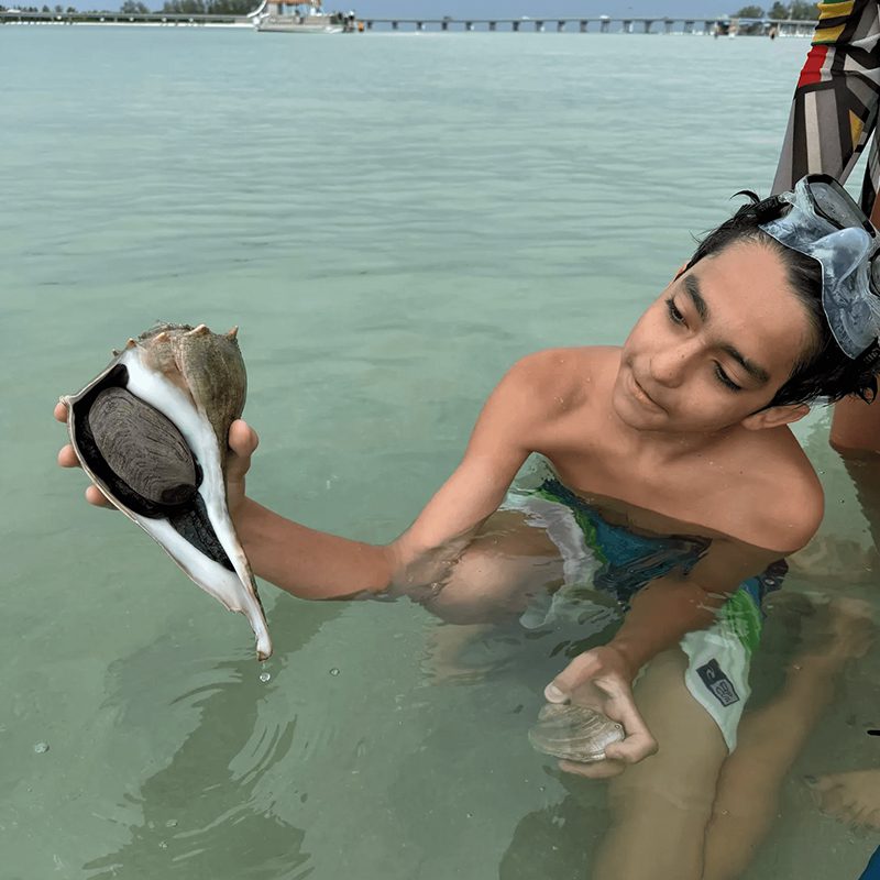 Person holding a large seashell in water.