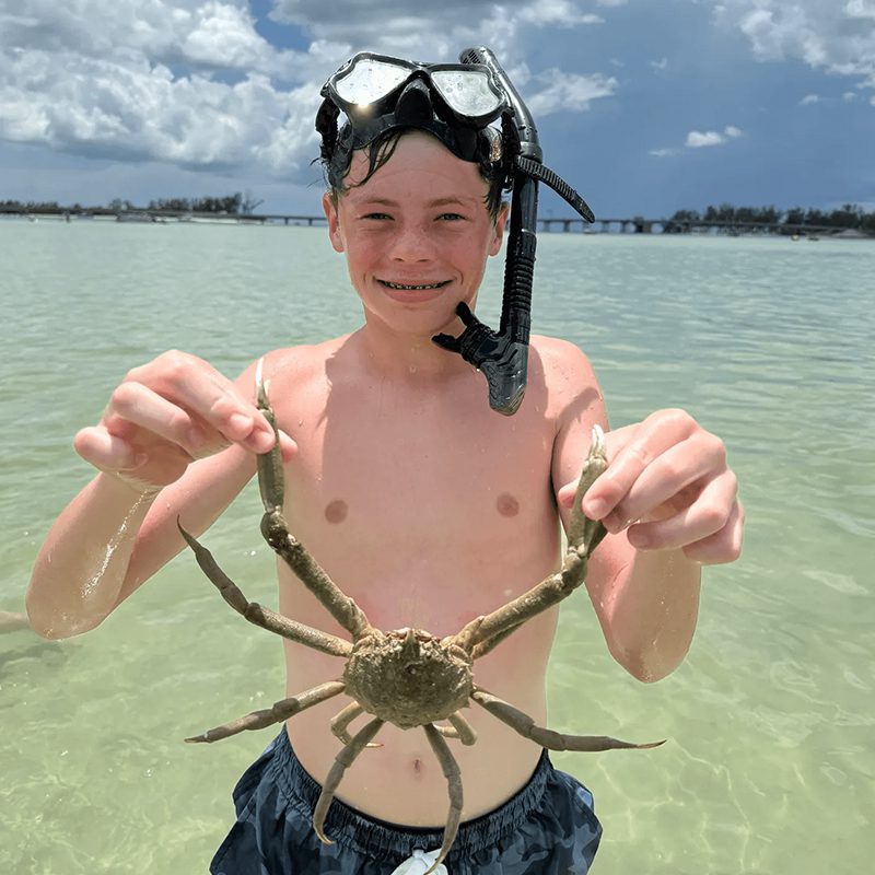 Child displaying crab at the beach